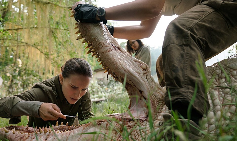 Download Annihilation Hollywood full HD movie 2018