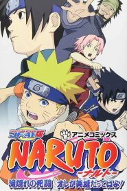 Naruto: The Lost Story – Mission: Protect the Waterfall Village!